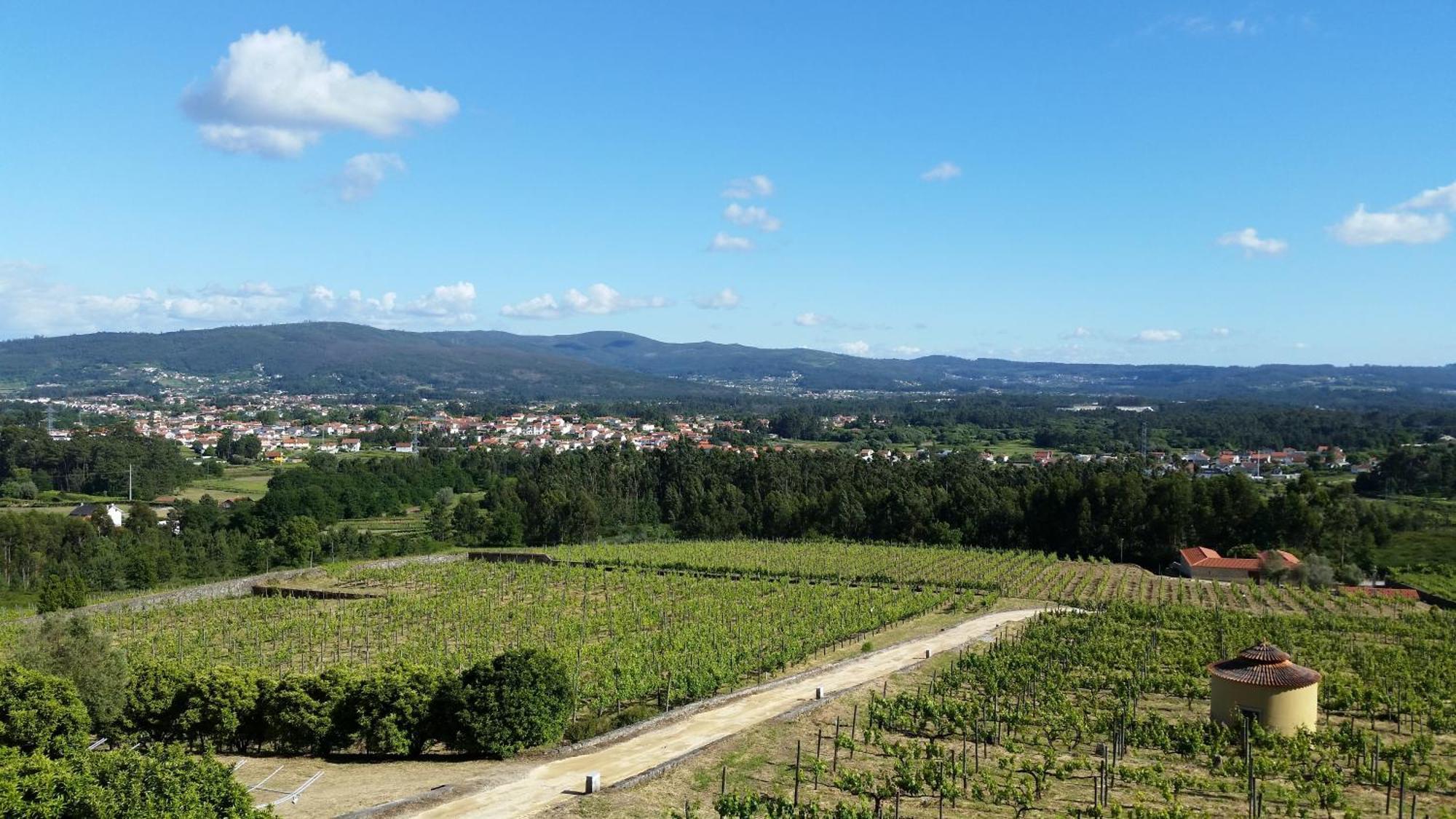 Willa Casas Do Monte De Roques Vila de Punhe Zewnętrze zdjęcie
